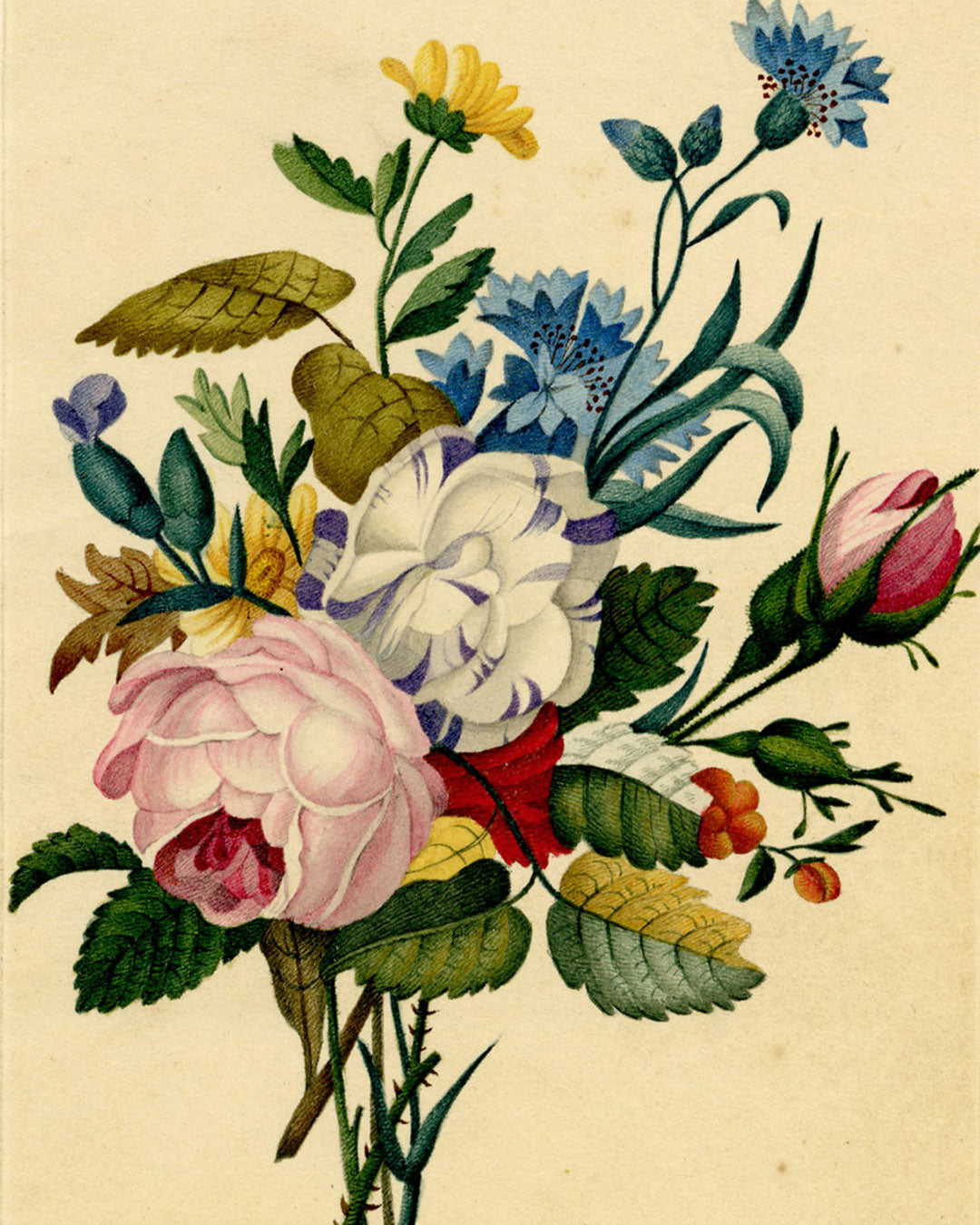 The Garbutt Hull Collection