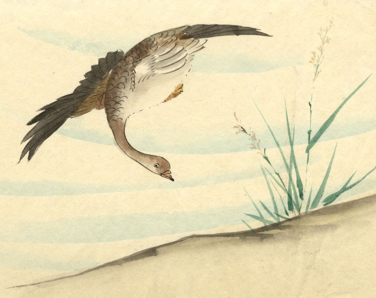 Japanese watercolours