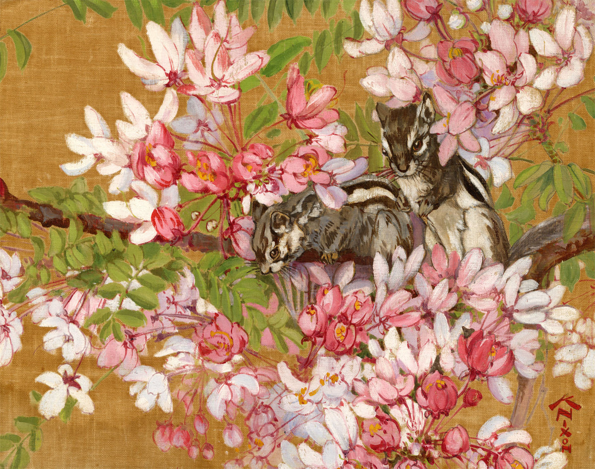 Spring amongst the Magnolia Blossom