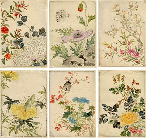 Qing Dynasty Botanicals