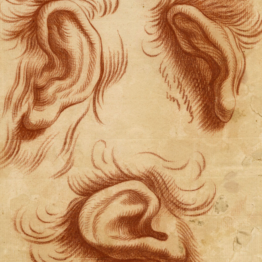 Sanguine about Sanguine