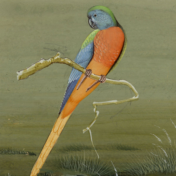 Indian Mughal-Style Miniature Bird Paintings