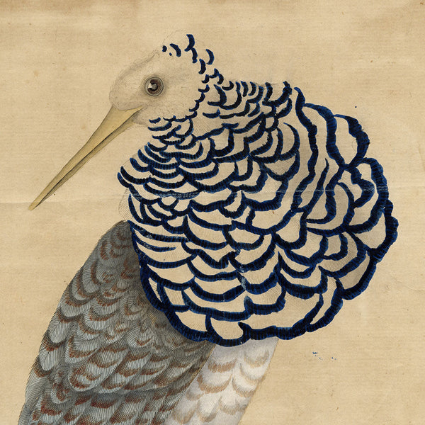 Hayes, William (1729–1799)