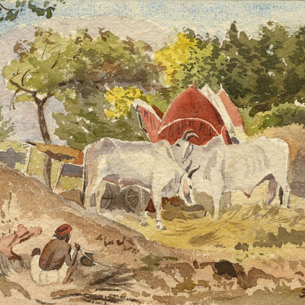 Etta Fraser: Portrait of India 1887–1895