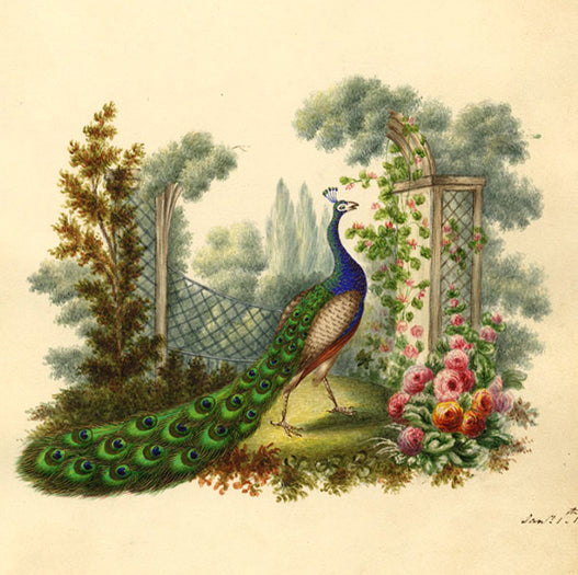 Regency Pictures of Remembrance: 1830s