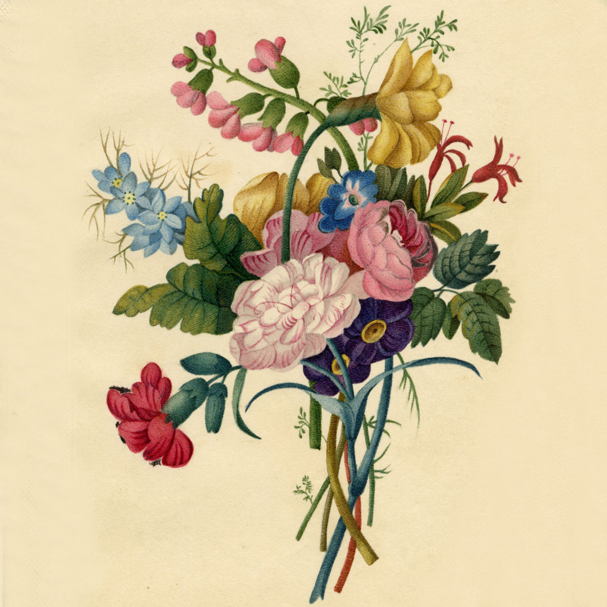 Garbutt Hull Collection