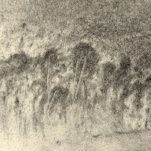 Charcoal