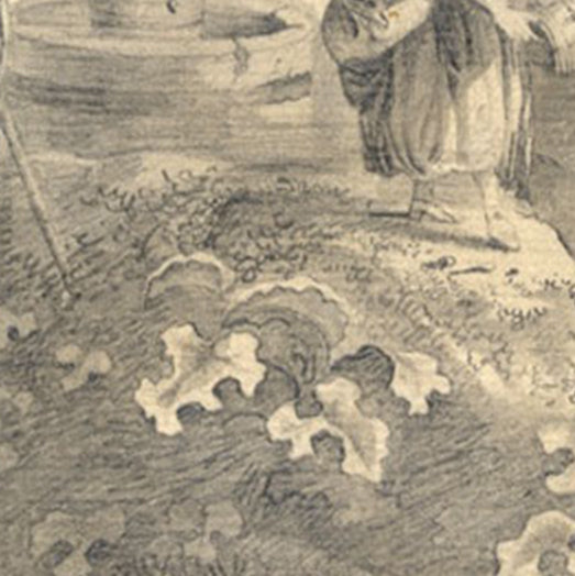 Graphite