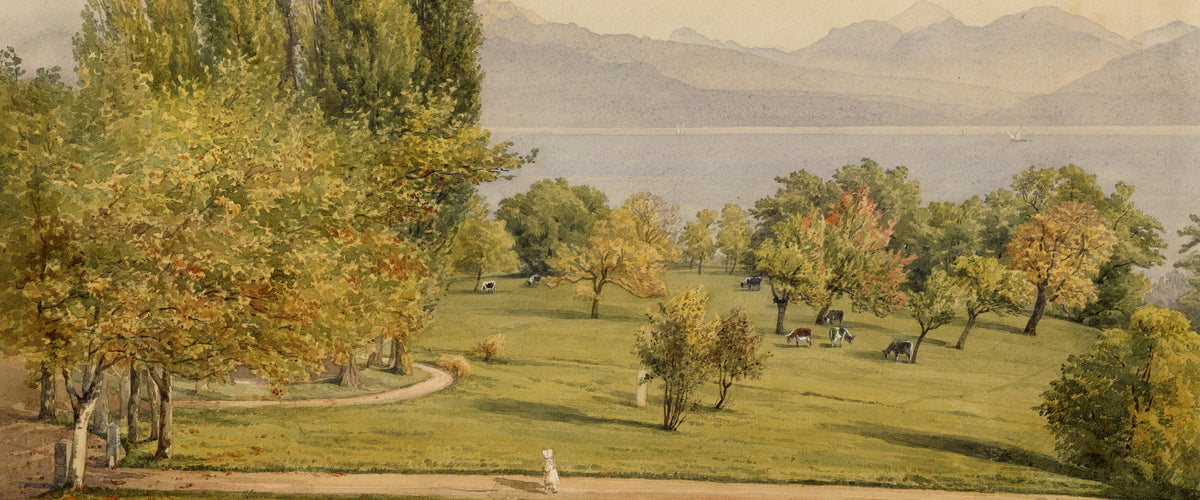Parks & Gardens
