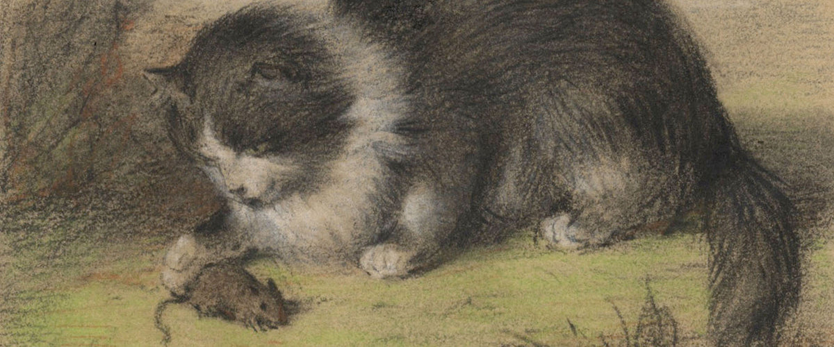 Domestic Pets, Cats & Dogs