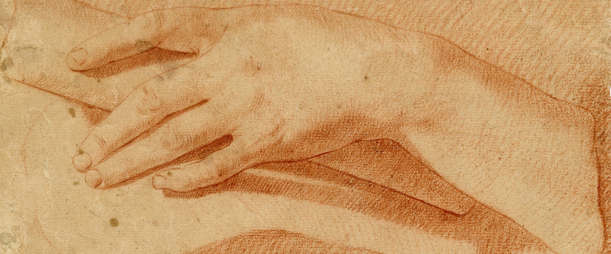 Anatomical