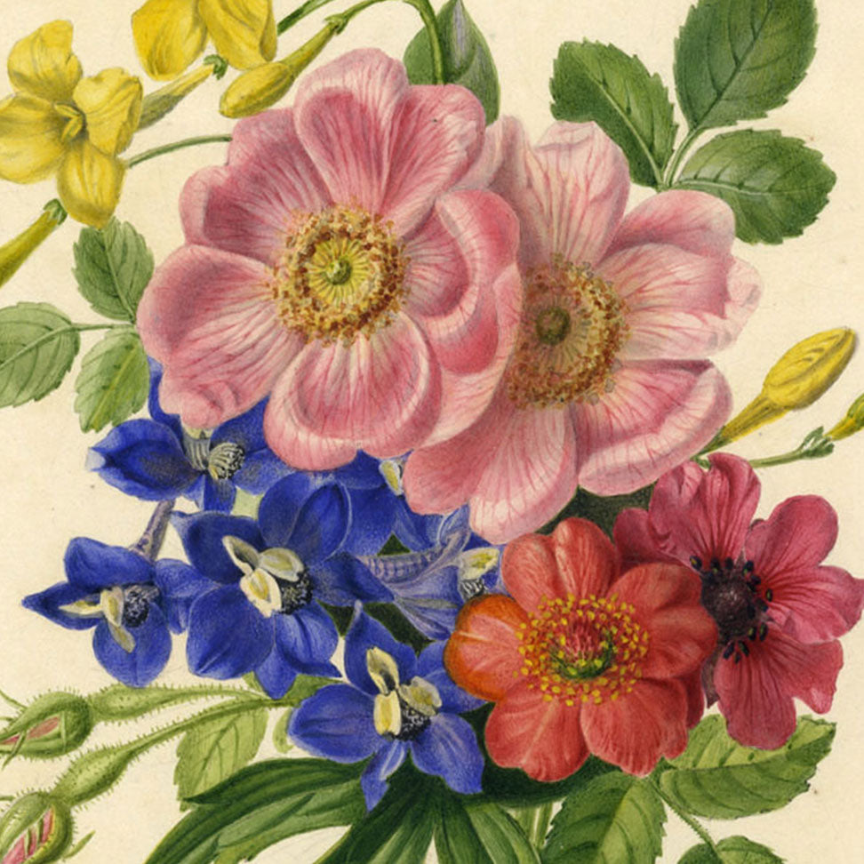 Exquisite 1830s Botanical Watercolours