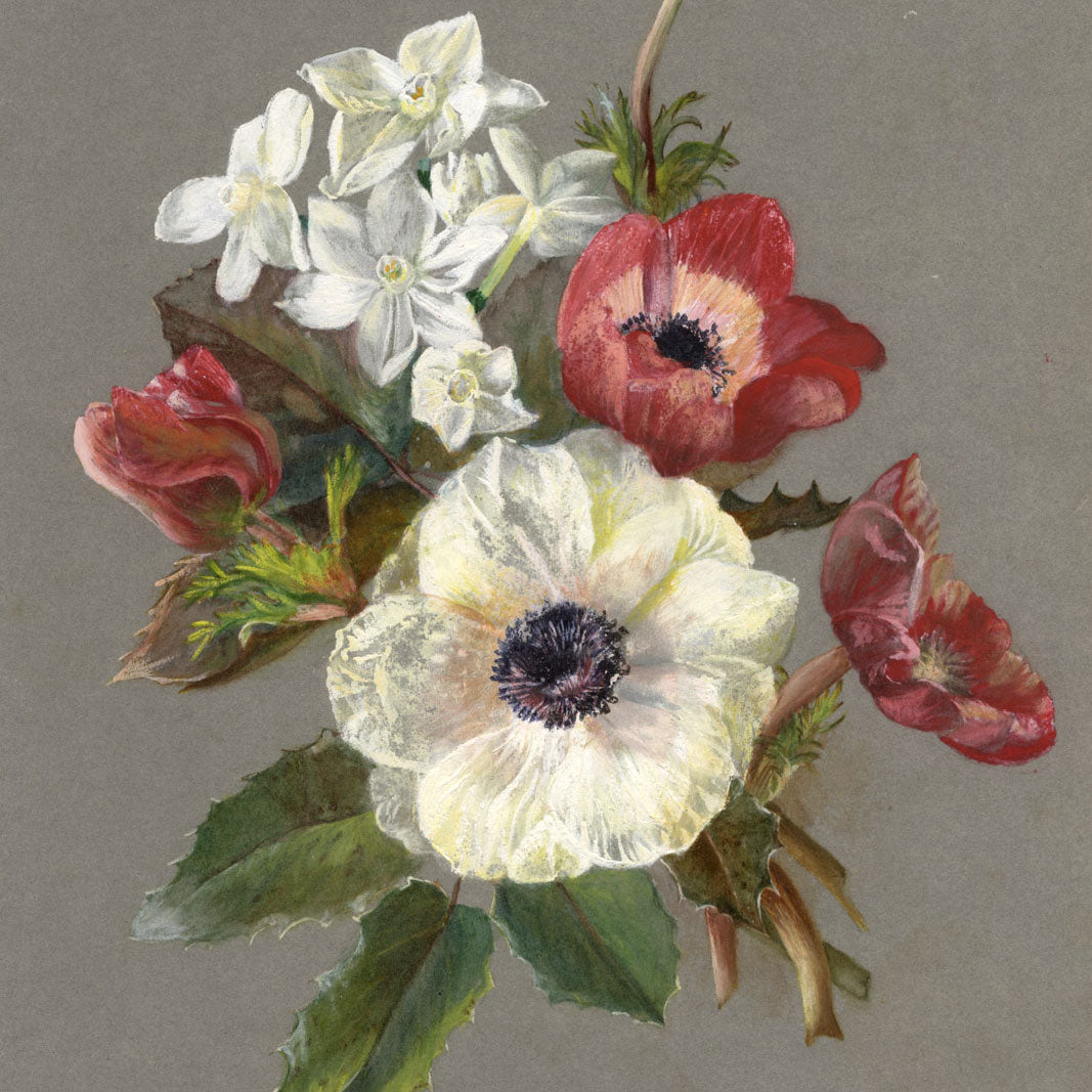 Wildflowers in Gouache: M.A. Catto 1880s