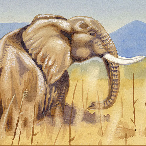 African Animals: Captain Leland M. Dundas (1885–1961)