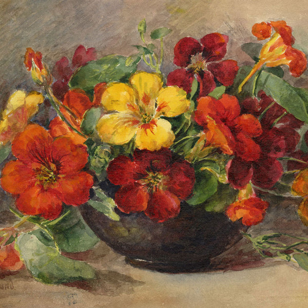 Pressland, Annie Louisa (1862–1933)