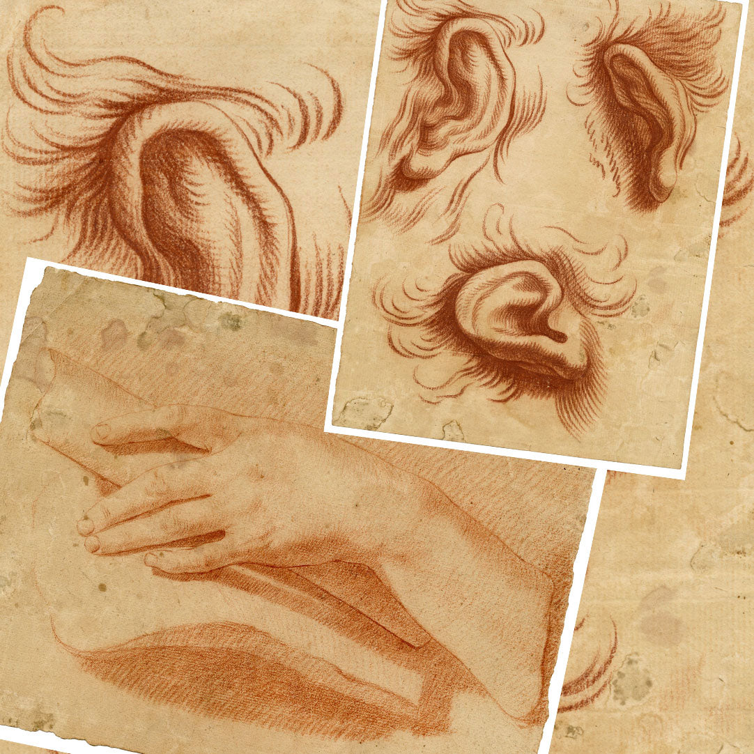 French School Sanguine: 18th-century Studies