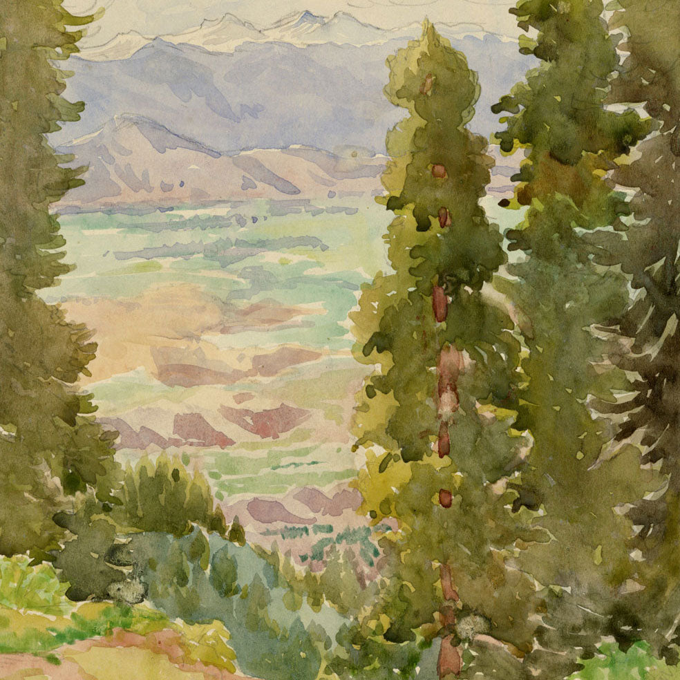 Views in Kashmir India: Andrea Lucey c.1909