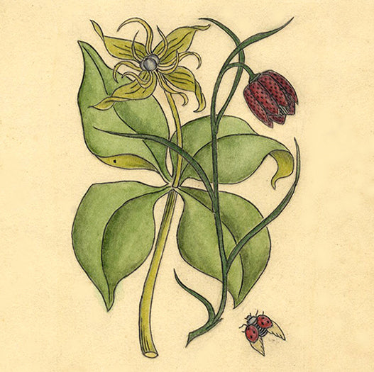 Early 20th-century Illustration Art: Charles Dickens | Flowers | Boats | Costumes