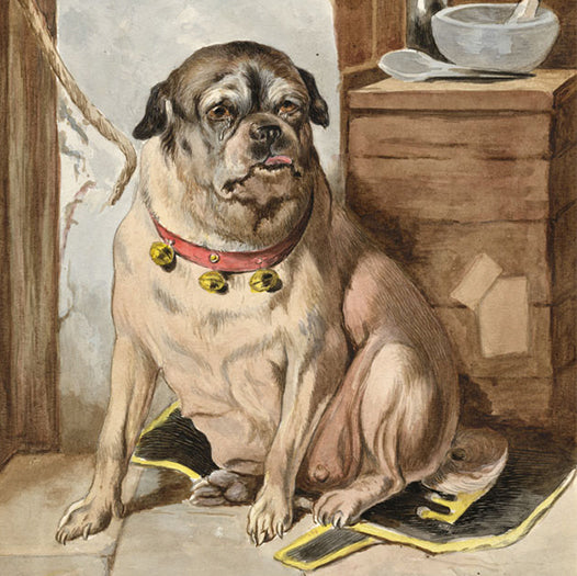 Dog Paintings & Drawings