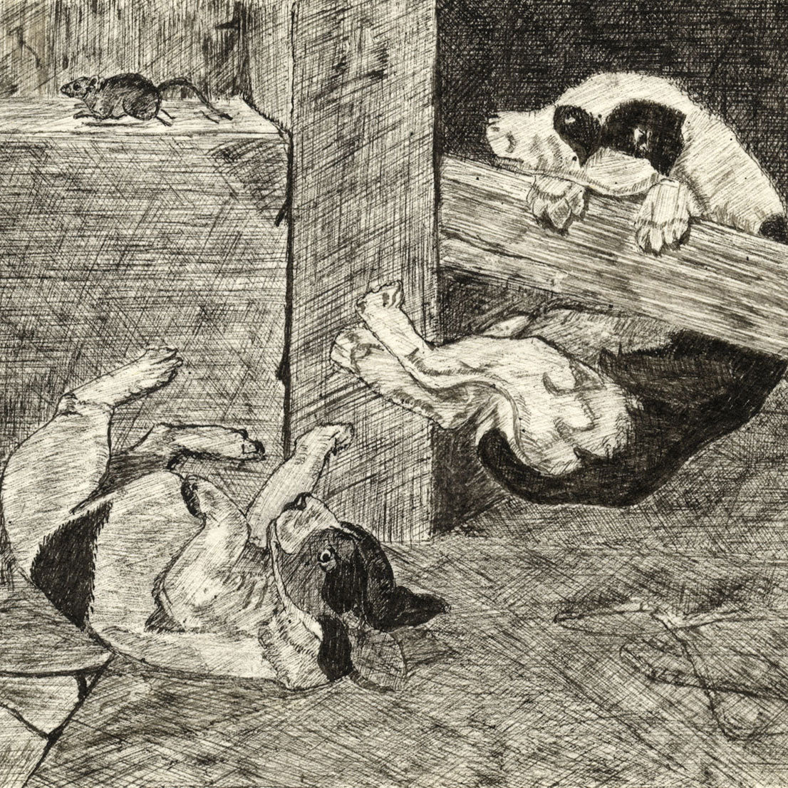 Cartoons after Phil May: H.M. Betts 1902