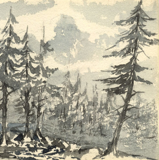 Panoramic Landscapes (1873–1889): Emily Bruce