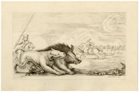 M. Rodbard da Stefano della Bella, Caccia al cinghiale – disegno a inchiostro del 1803