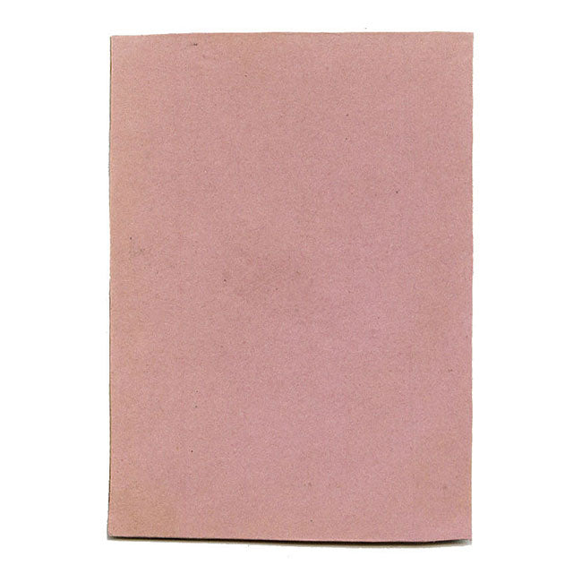 Veduta del Reno in miniatura – Disegno originale a penna e inchiostro della metà del XIX secolo