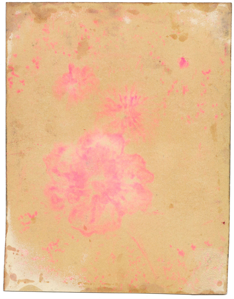 Gustave Bourgogne, Rose e margherite – Dipinto originale a guazzo della metà del XX secolo