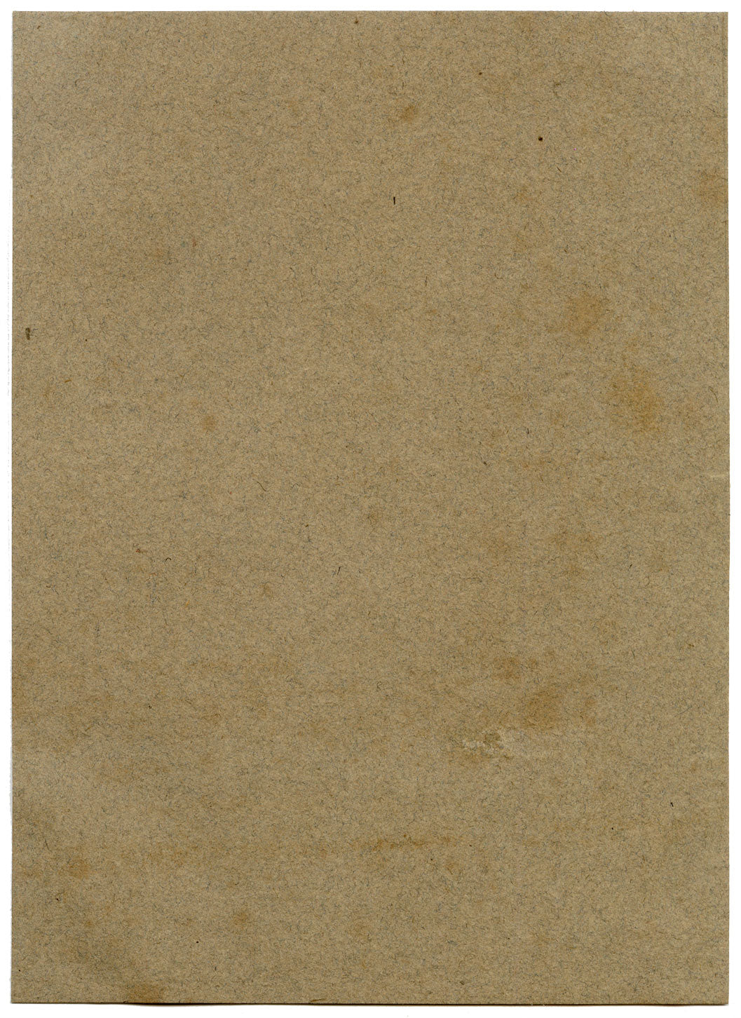 Donatore inginocchiato, Santissima Trinità di Masaccio – Disegno originale a grafite del XIX secolo