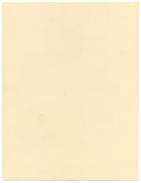 Stanley Reece, Fiore di papavero con paralume giallo – acquerello del 1989