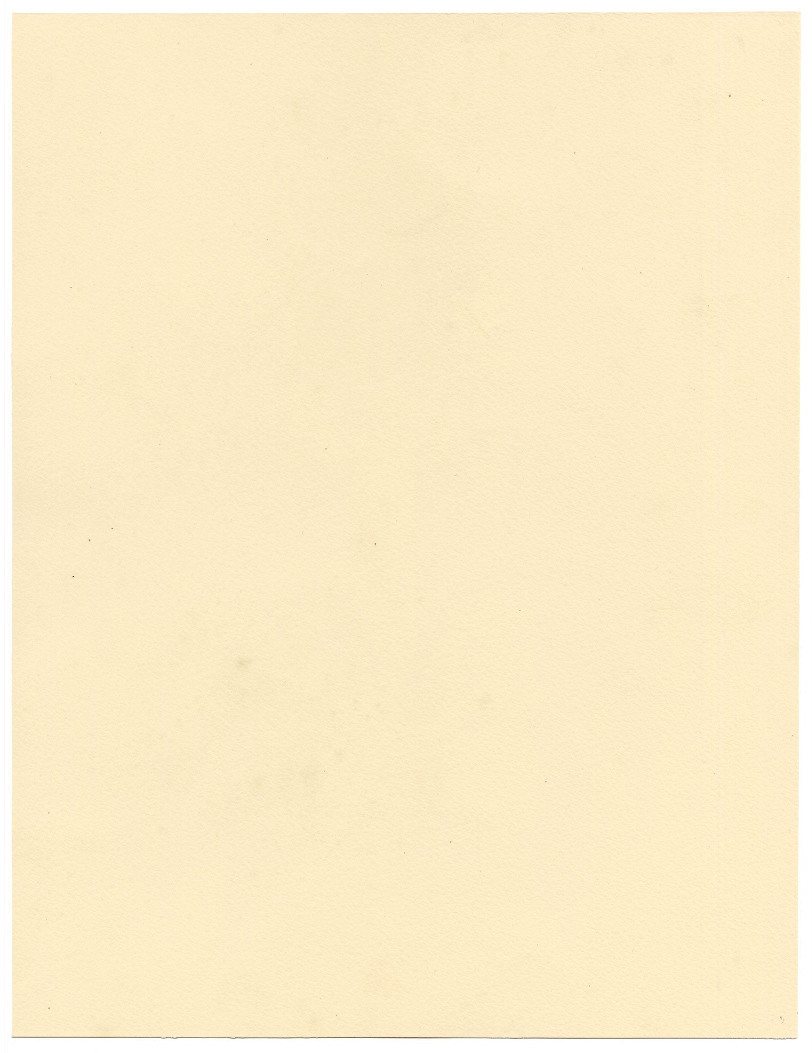 Stanley Reece, Fiore di papavero con paralume giallo – acquerello del 1989