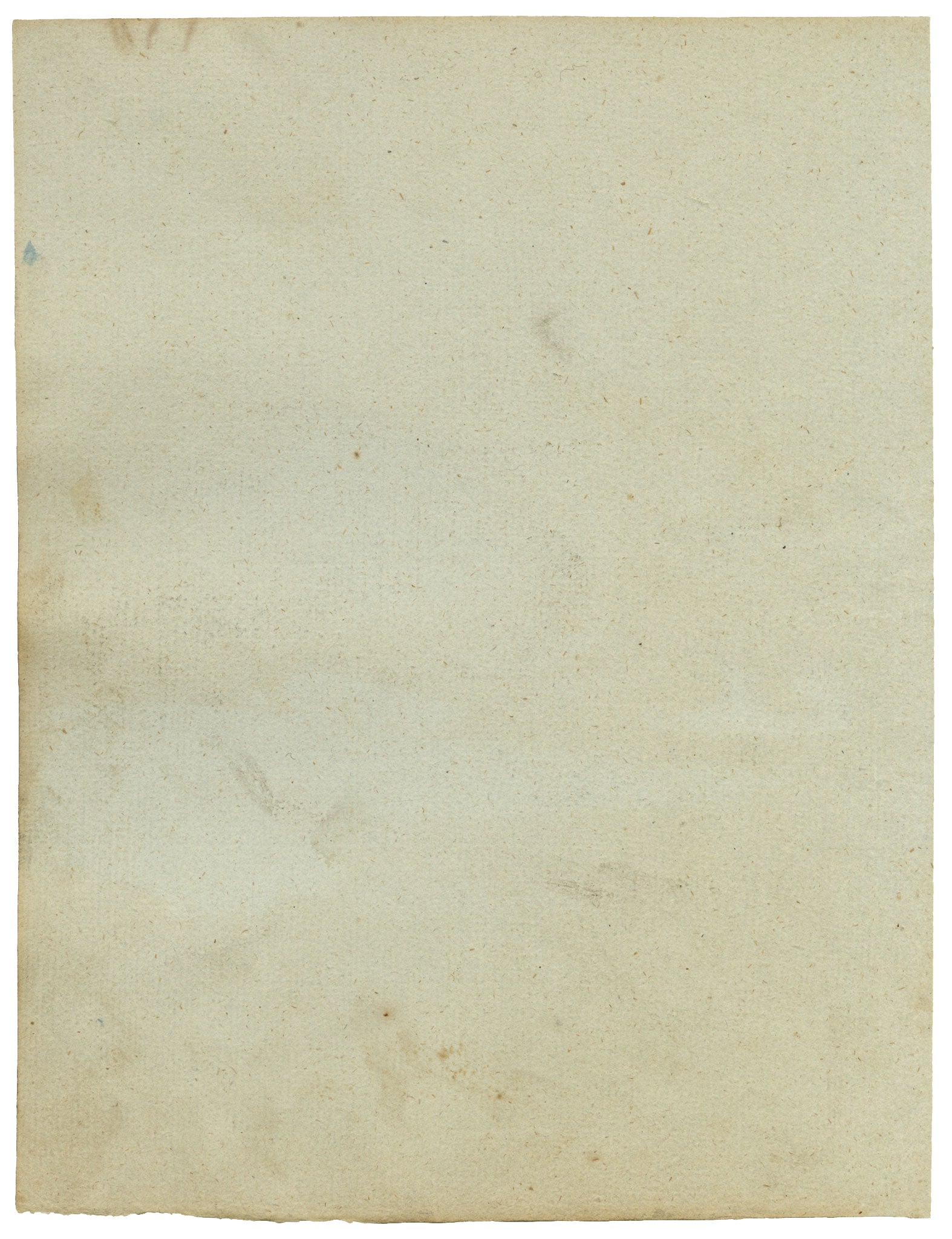 Leopold Billek, Porcellino d'India (Meerschweinchen) – Dipinto a guazzo originale del 1820 circa