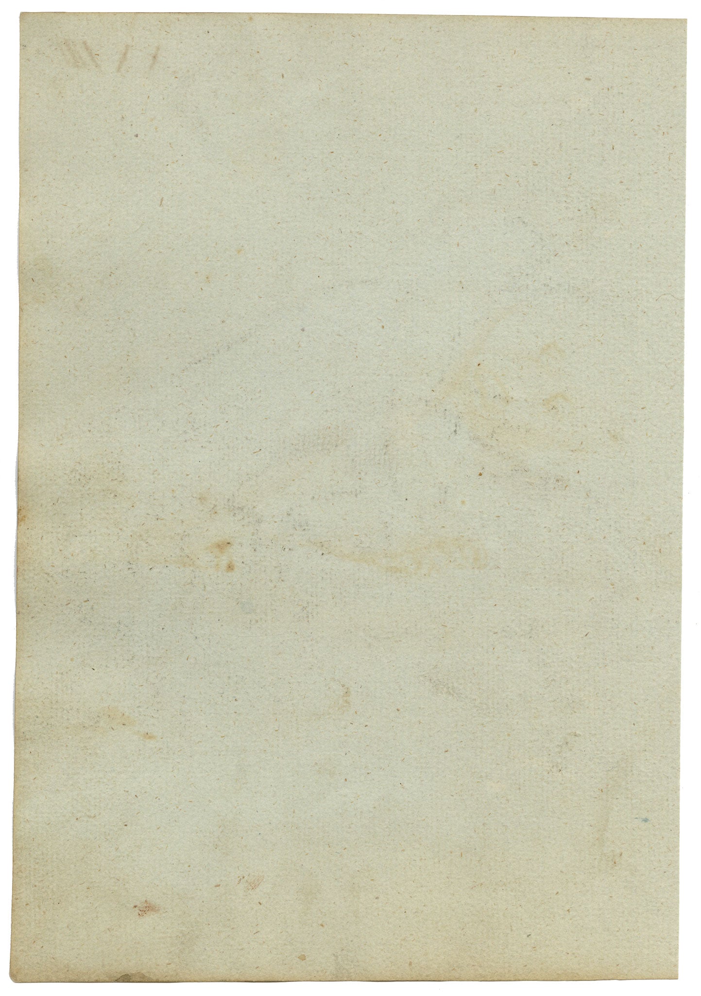 Leopold Billek, Otter – Original c.1820 gouache painting