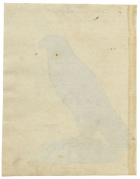 Leopold Billek, Buzzard Bird of Prey – c.1820 gouache painting