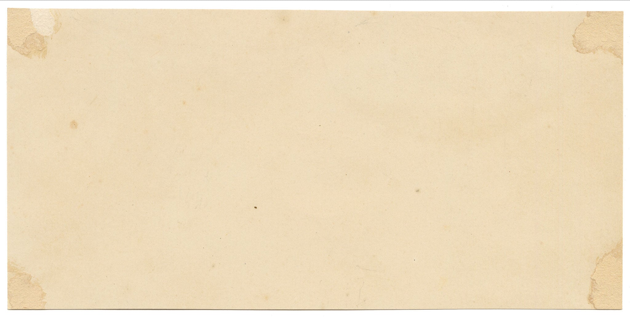 J.R.C., Birch Milkcap Fungus (Lactarius tabidus) – 19th-century watercolour painting