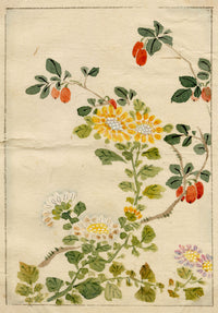 Chinese Flowers & Fruit – Original mid-C19th Qing Dynasty watercolour painting