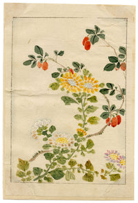 Chinese Flowers & Fruit – Original mid-C19th Qing Dynasty watercolour painting