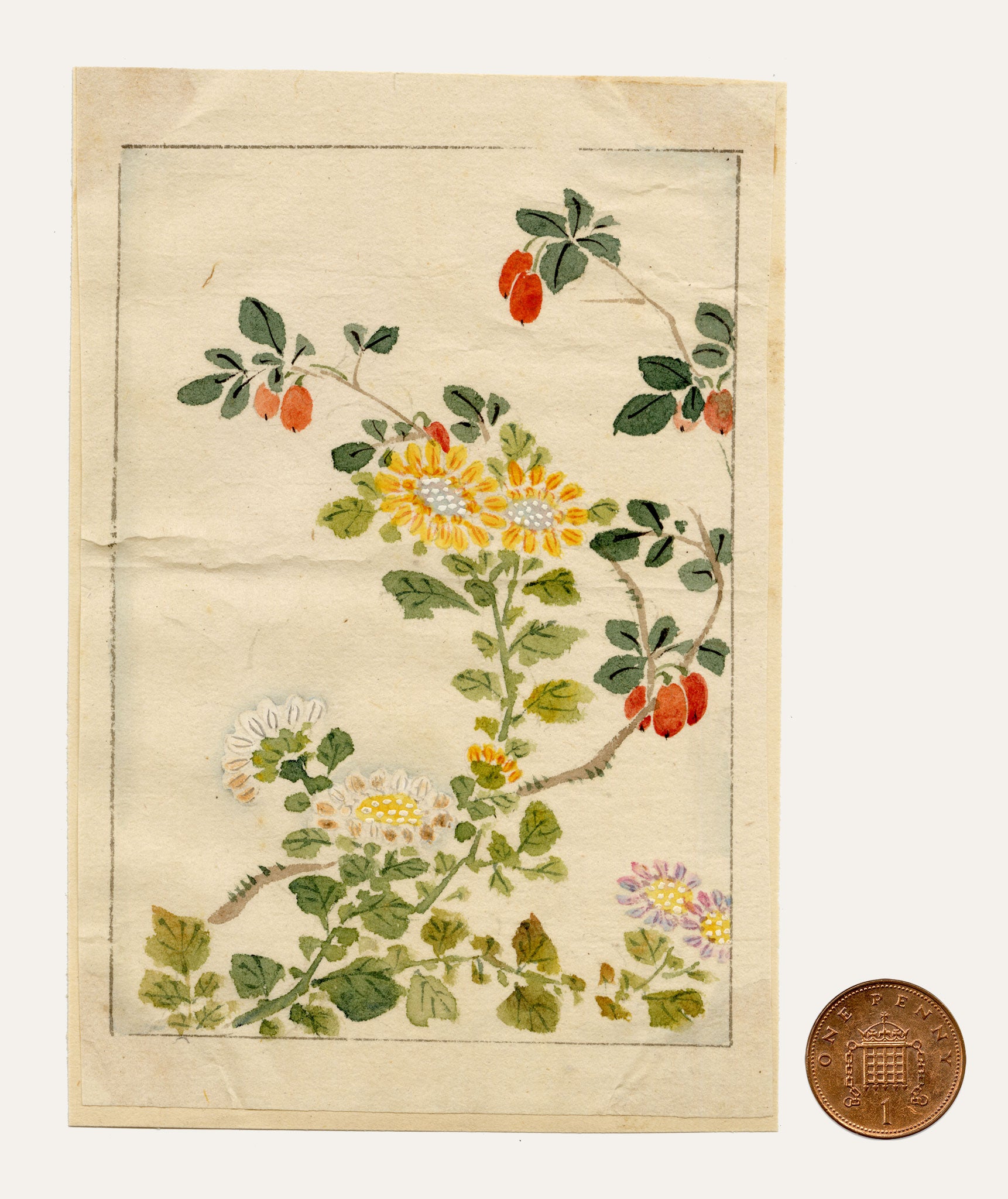 Chinese Flowers & Fruit – Original mid-C19th Qing Dynasty watercolour painting
