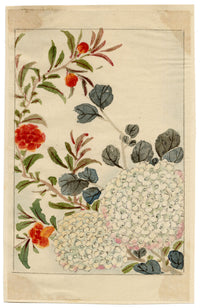 Chinese Hydrangea Flower – Original mid-C19th Qing Dynasty watercolour painting