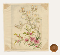 Fiori di magnolia cinese – Dipinto ad acquerello originale della dinastia Qing della metà del XIX secolo