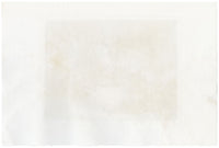 F. Novelli según Rembrandt, Cristo predicando (La pequeña tumba) – Grabado de 1860