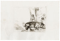 Francesco Novelli after Rembrandt, The Hog – 1860