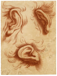 After Charles Le Brun, Physiognomy Study of Ears – 18th-century chalk drawing