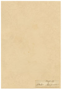 J. McA, Water Scorpion Insect Study – c.1810s watercolour painting