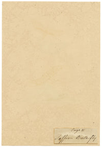 J. McA, Saffron Butterfly (Clouded Yellow) Study – c.1810s watercolour painting