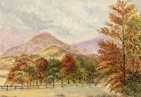 Keswick Sketching Club, Autumnal Trees, Lake District – 1873 watercolour painting