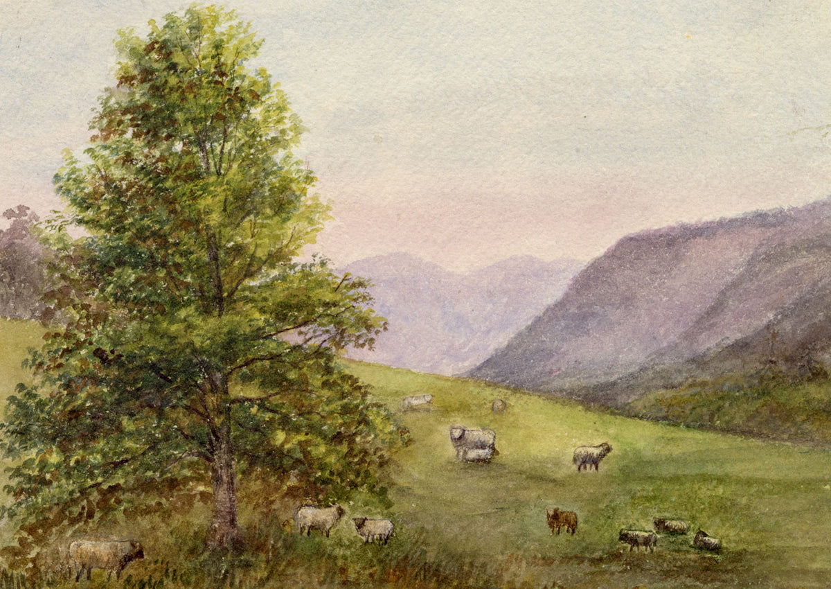 Keswick Sketching Club, Sheep in the Fells, Lake District – 1870s watercolour painting