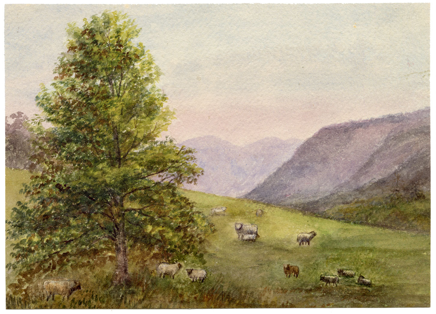 Keswick Sketching Club, Sheep in the Fells, Lake District – 1870s watercolour painting