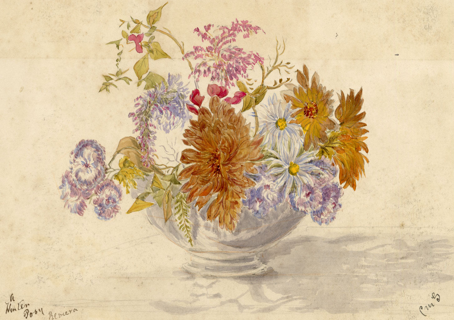 Constance Maria Stopford née Hammersley, Winter Posy, French Riviera – 1880s watercolour painting
