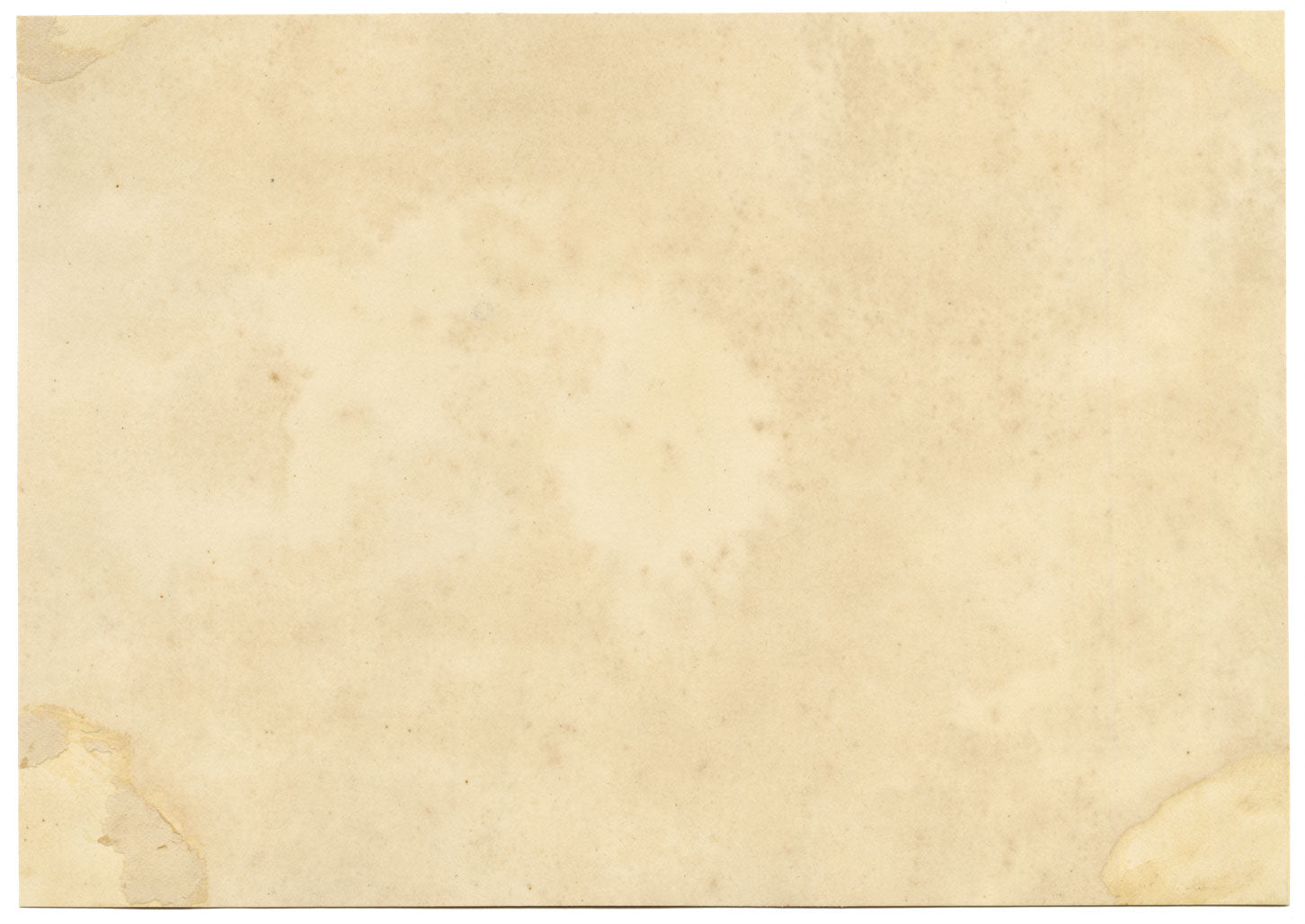 Constance Maria Stopford née Hammersley, Winter Posy, French Riviera – 1880s watercolour painting